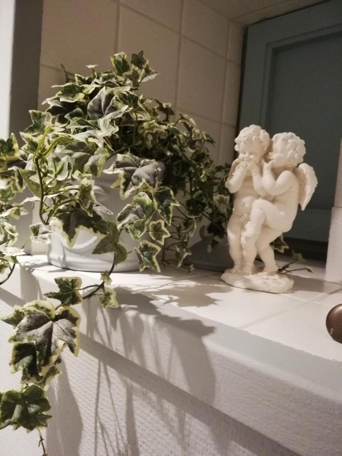 Au Charme Du 13 Faubourg De France A Bouillon Villa Eksteriør billede