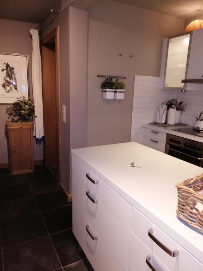 Au Charme Du 13 Faubourg De France A Bouillon Villa Eksteriør billede
